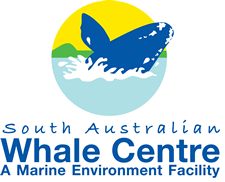 south-australia-whale-center