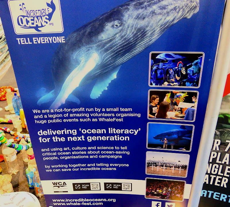 wtm2017-incredible-oceans
