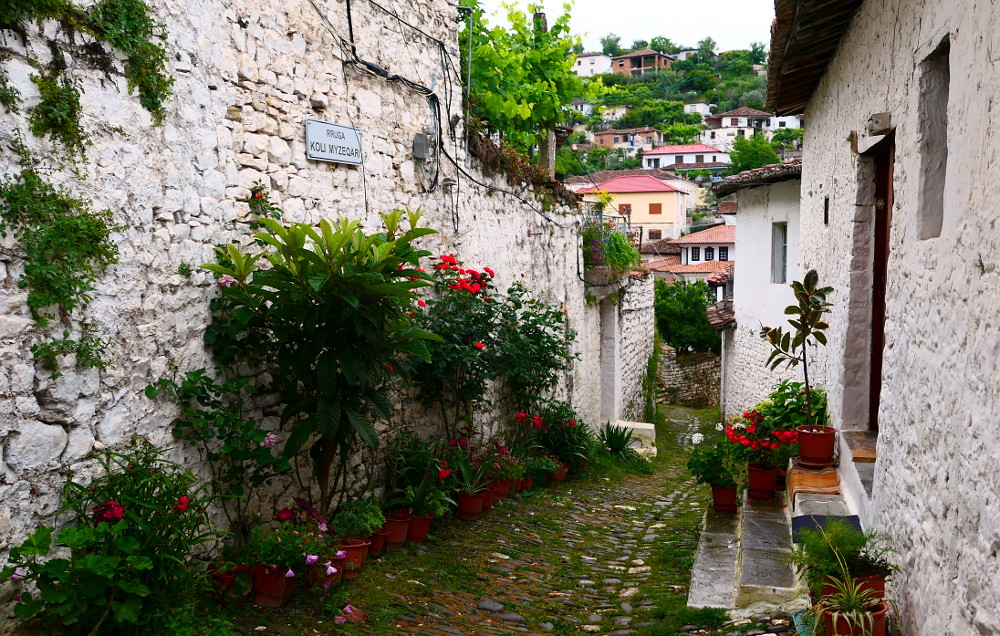berat-albanien-grand-blommor