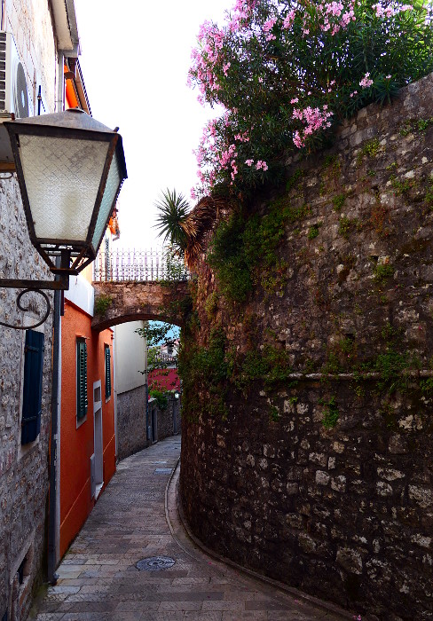 montenegro-herceg-novi-grand-blommor